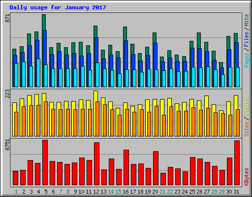 Daily usage for January 2017