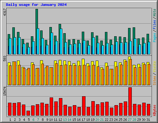 Daily usage for January 2024