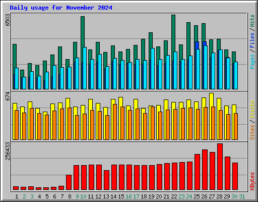 Daily usage for November 2024