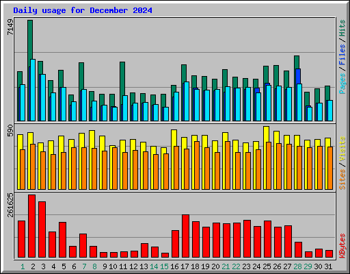 Daily usage for December 2024