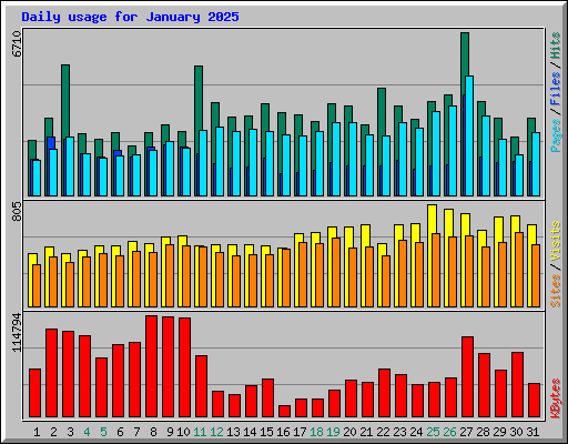 Daily usage for January 2025