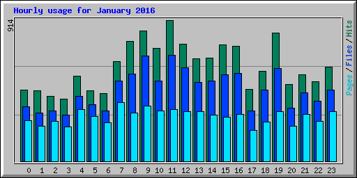 Hourly usage for January 2016