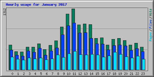 Hourly usage for January 2017
