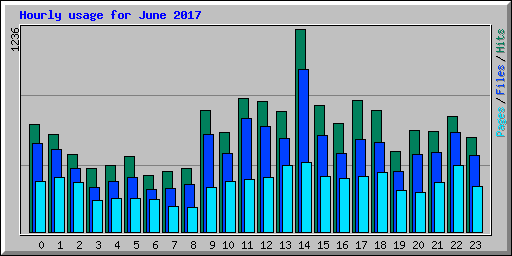 Hourly usage for June 2017