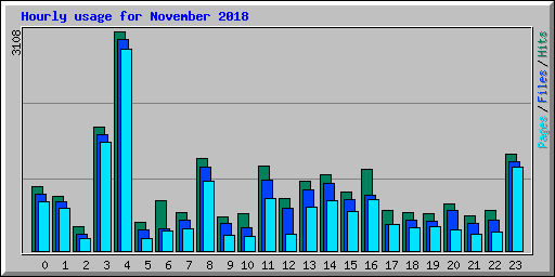 Hourly usage for November 2018