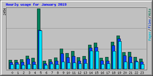 Hourly usage for January 2019