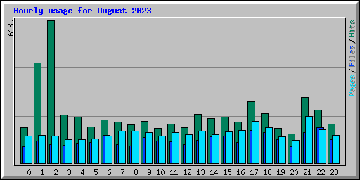 Hourly usage for August 2023