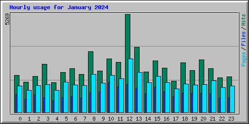 Hourly usage for January 2024
