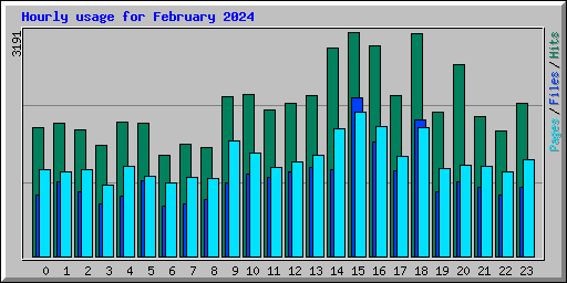 Hourly usage for February 2024