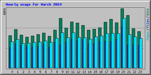 Hourly usage for March 2024