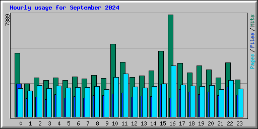 Hourly usage for September 2024