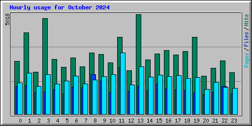 Hourly usage for October 2024