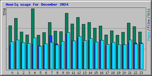 Hourly usage for December 2024