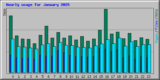 Hourly usage for January 2025