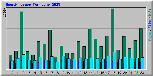 Hourly usage for June 2025