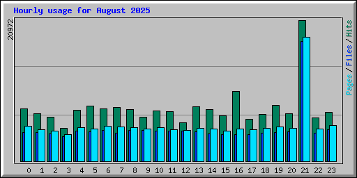 Hourly usage for August 2025