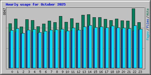 Hourly usage for October 2025